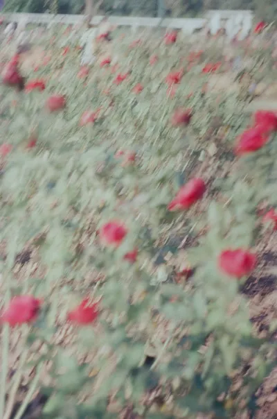 Paisagem